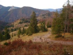 2013-10-26_Schildenstein (387).JPG